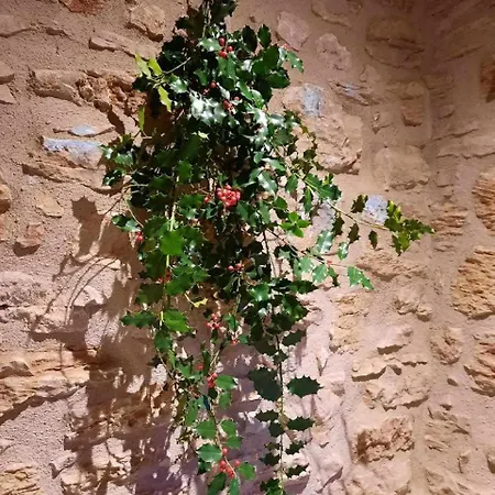 Apartmán Rumin Enea - Turismo De Pueblo *