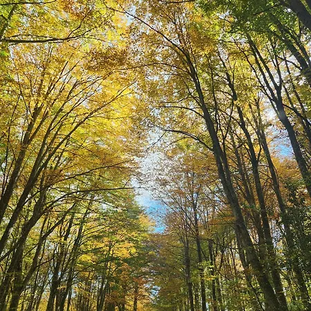 Rumin Enea - Turismo De Pueblo Villaverde (Basque Country)