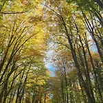 Rumin Enea - Turismo De Pueblo Villaverde (Basque Country)