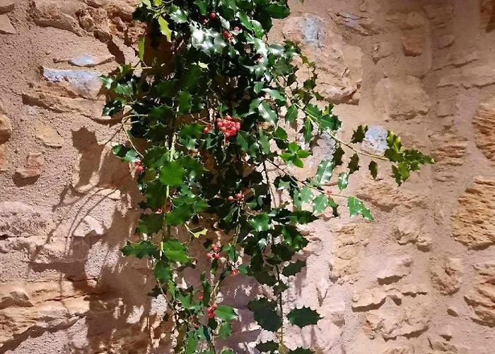 Apartment Rumin Enea - Turismo De Pueblo *