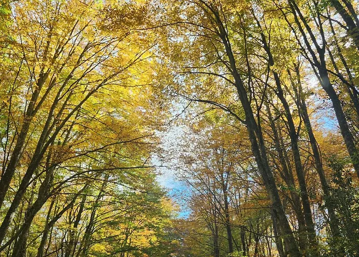 Rumin Enea - Turismo De Pueblo Villaverde (Basque Country)